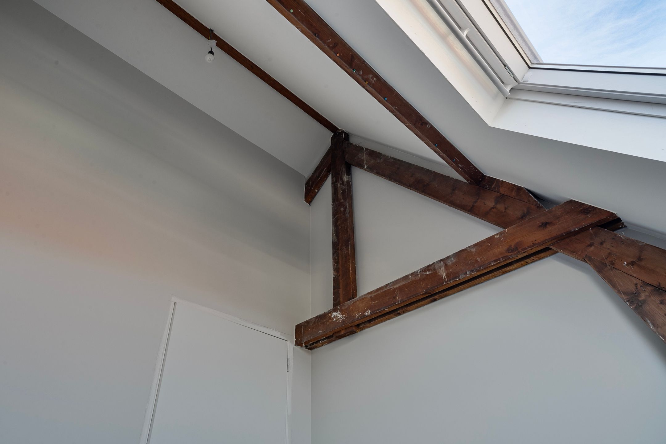 Foto 30 van Ranonkelstraat 51