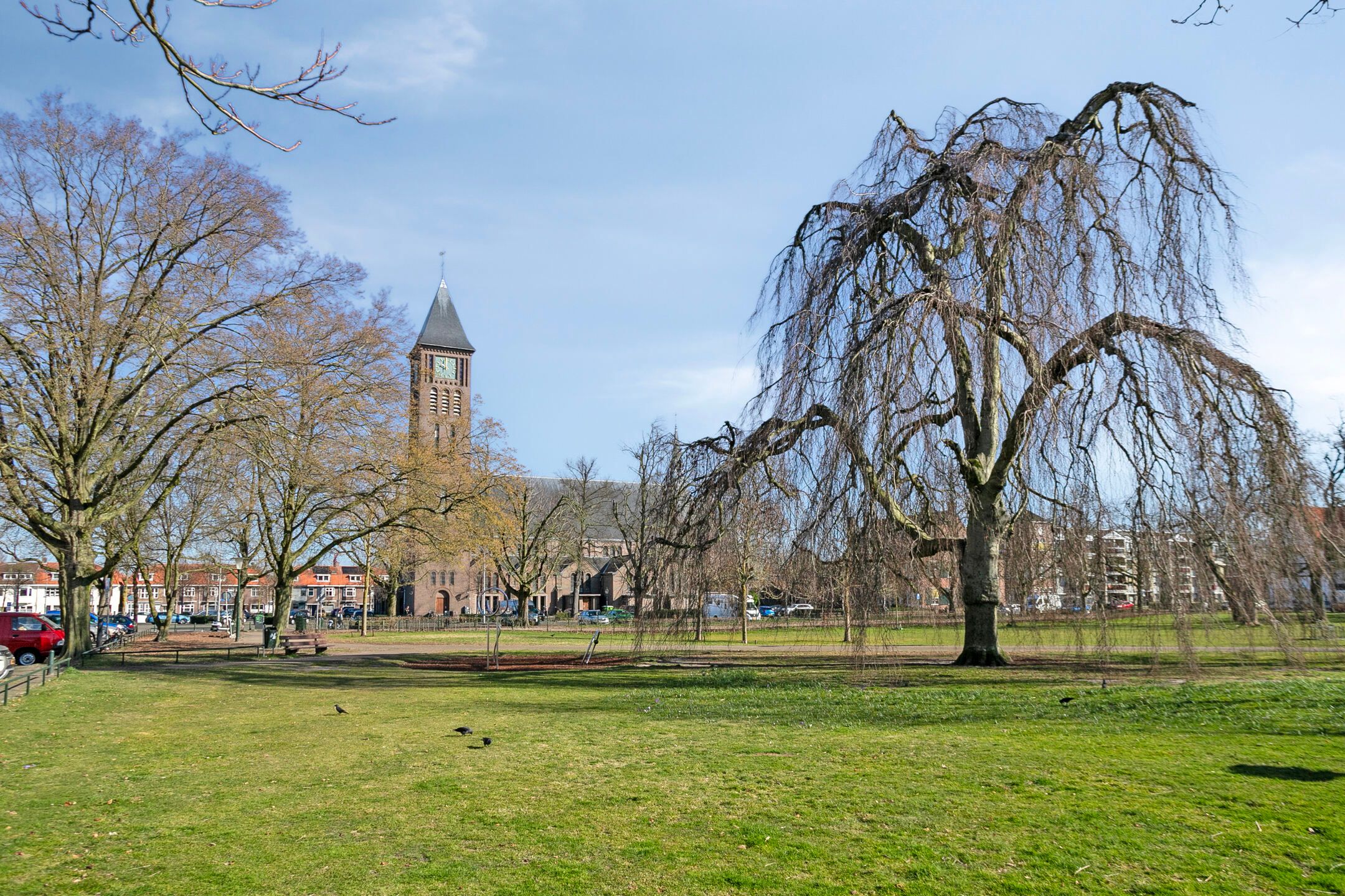 Foto 39 van Ranonkelstraat 51