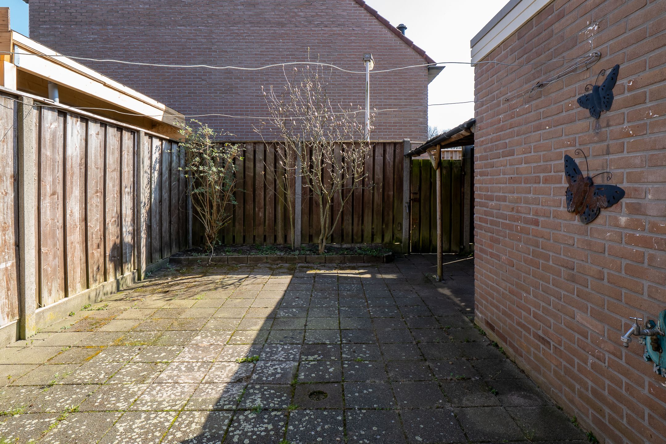 Foto 27 van Theodora Versteeghstraat 5