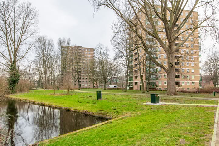 Foto 11 van Vlamenburg 113