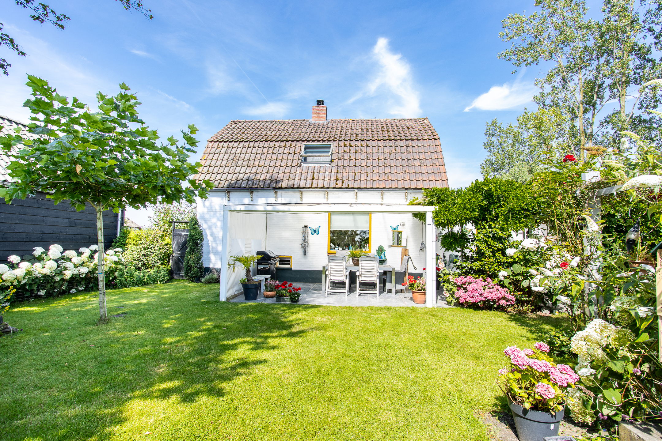Foto 3 van Baan 1