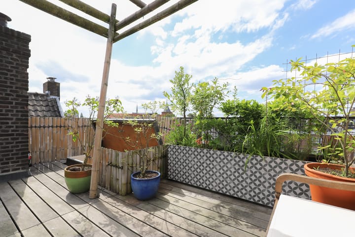 Foto 51 van Pater Brugmanstraat 49