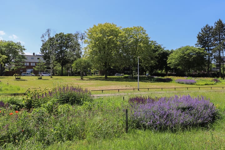 Foto 66 van Pater Brugmanstraat 49