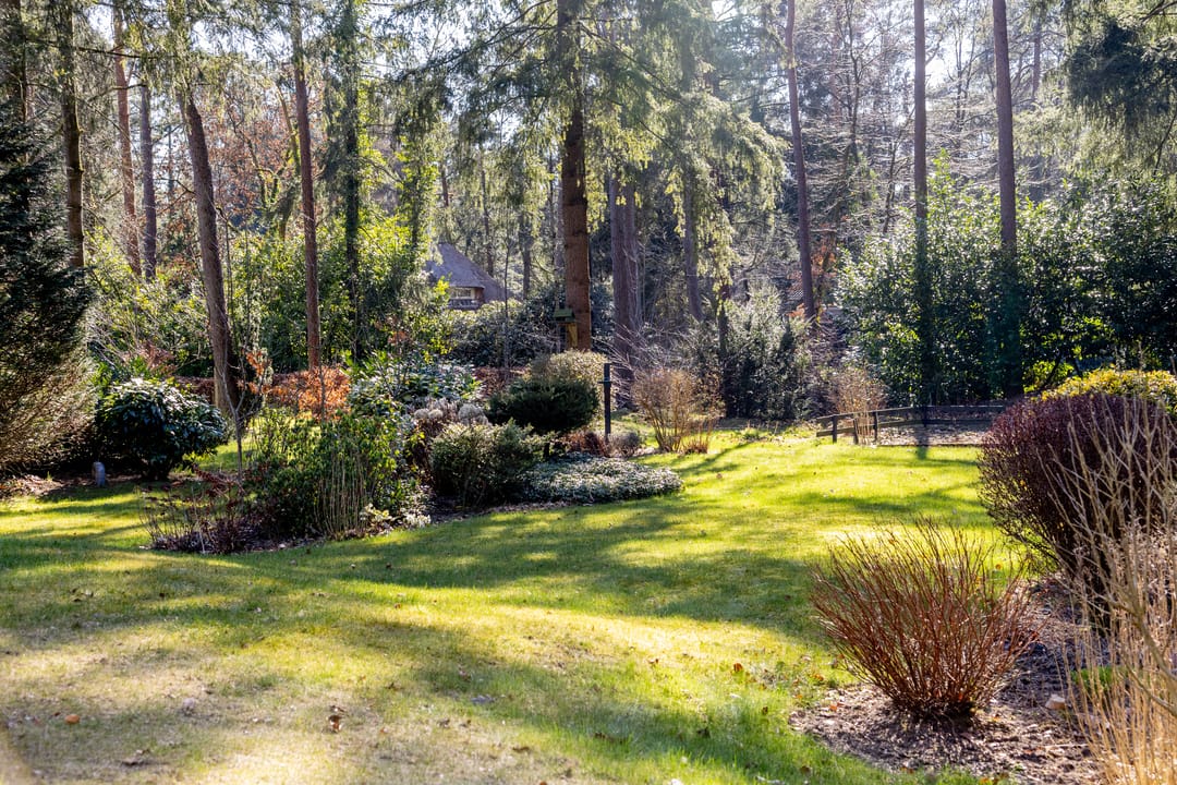 Foto 28 van Dellenparkweg 5