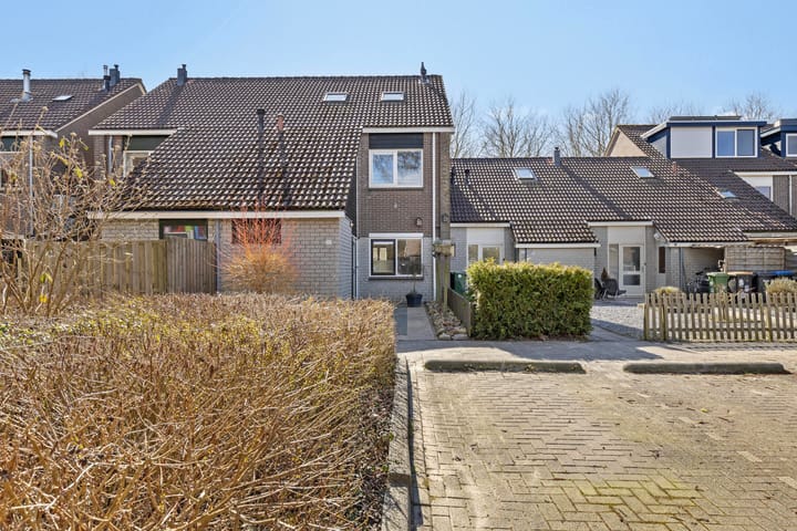 Foto 5 van Middelplaat 22