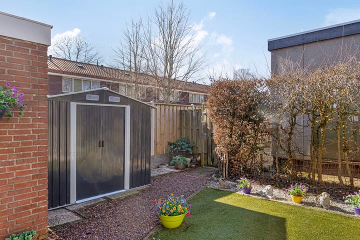 Foto 31 van Kokkel 6