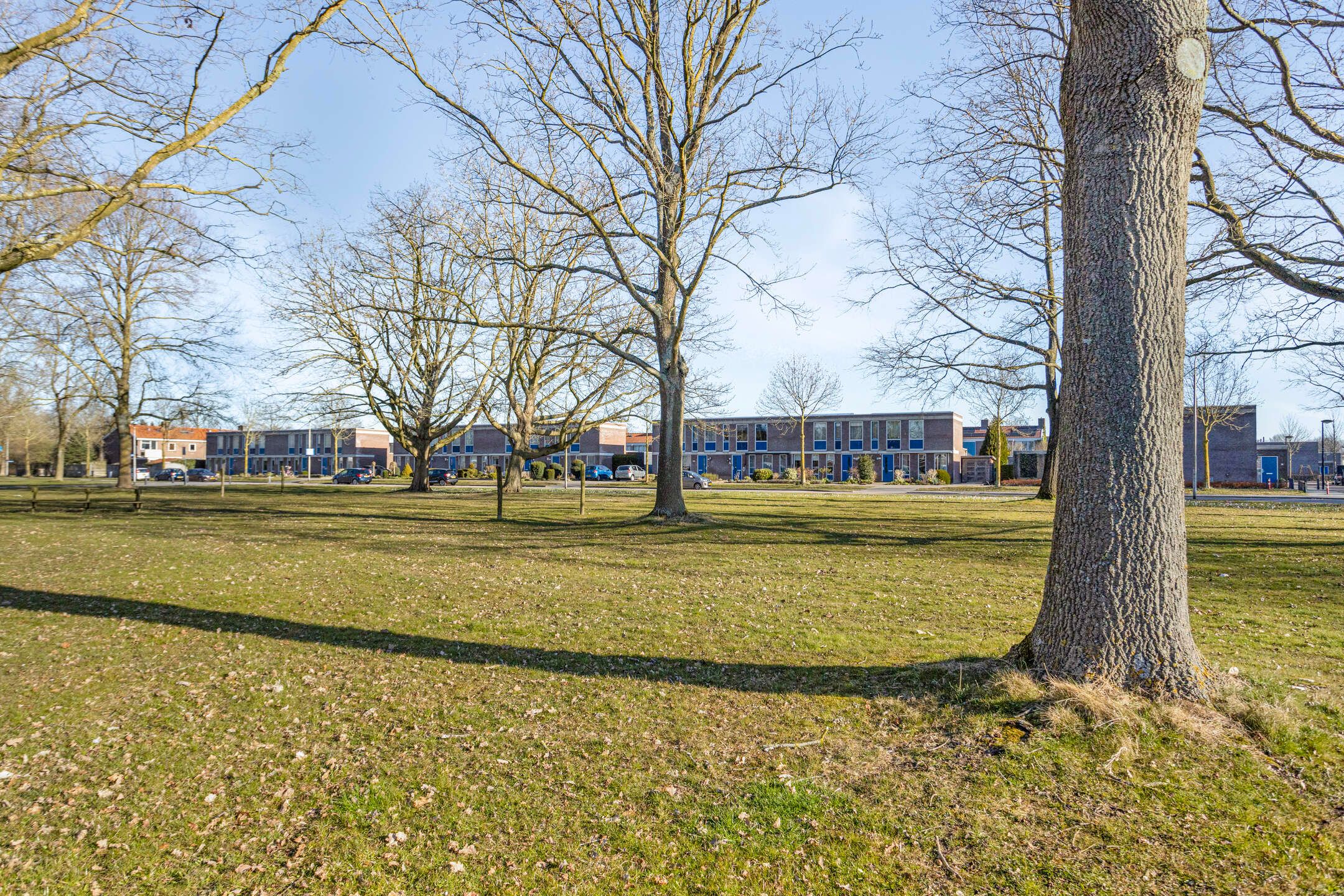 Foto 39 van Kokkel 6