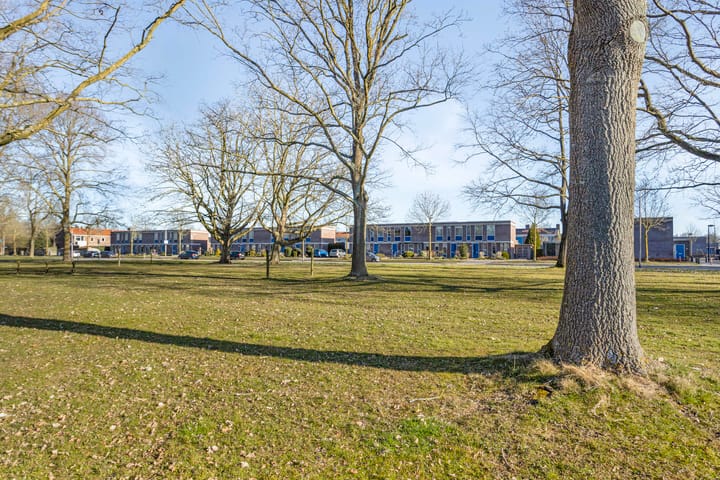 Foto 39 van Kokkel 6