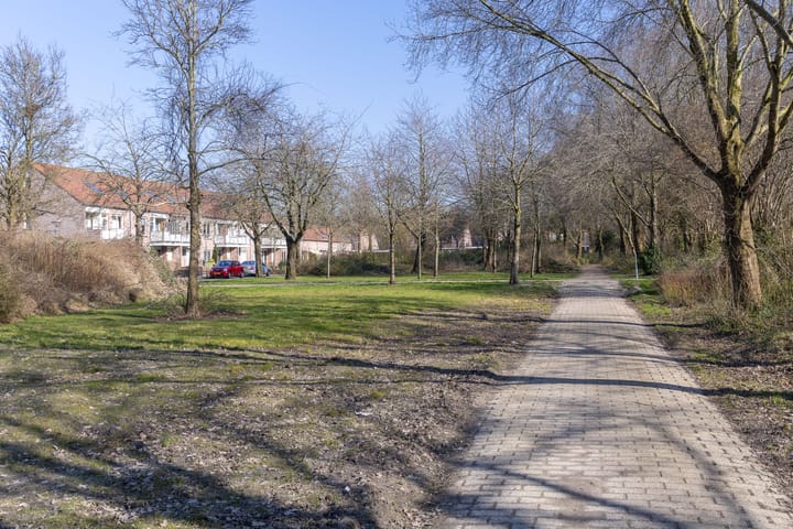 Foto 41 van Ceder 72