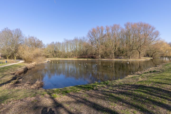 Foto 42 van Ceder 72