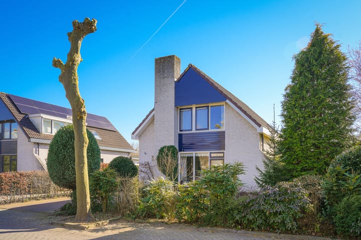 Foto 1 van Notarisappel 2