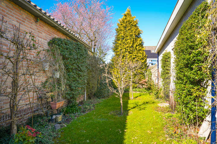 Foto 24 van Notarisappel 2