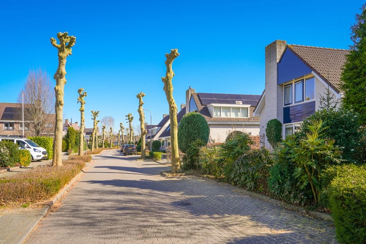 Foto 28 van Notarisappel 2