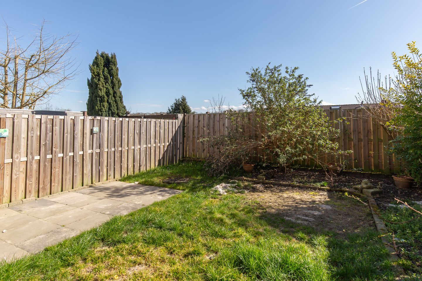 Foto 20 van Laurastraat 121