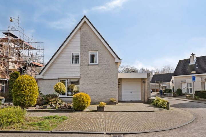 Photo 5 of Vizier 10