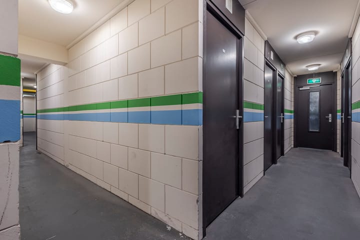 Foto 21 van Prof. Lorentzlaan 1