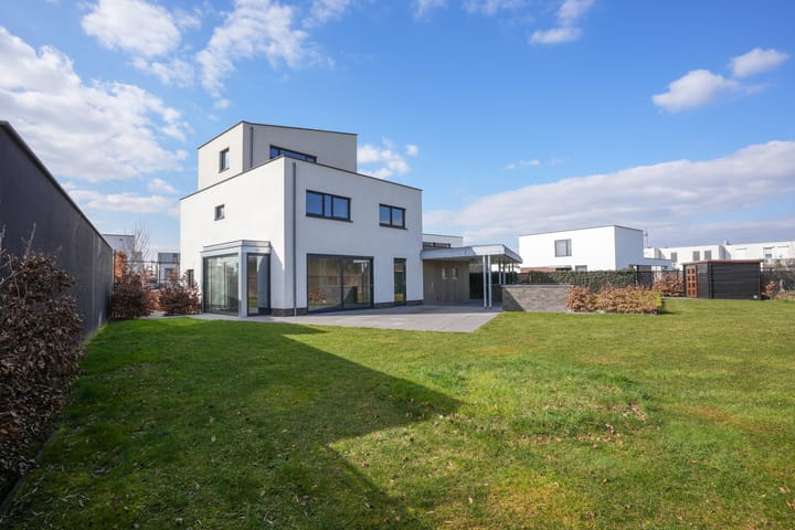 Foto 2 van Muurbloem 9