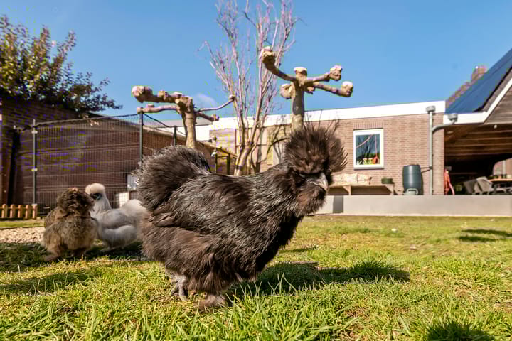 Foto 41 van Voor de Kijkuit 18