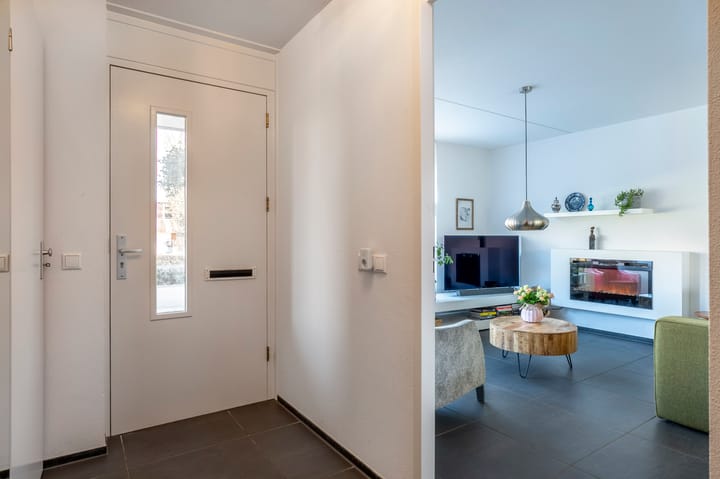 Foto 8 van Knoopkruid 3