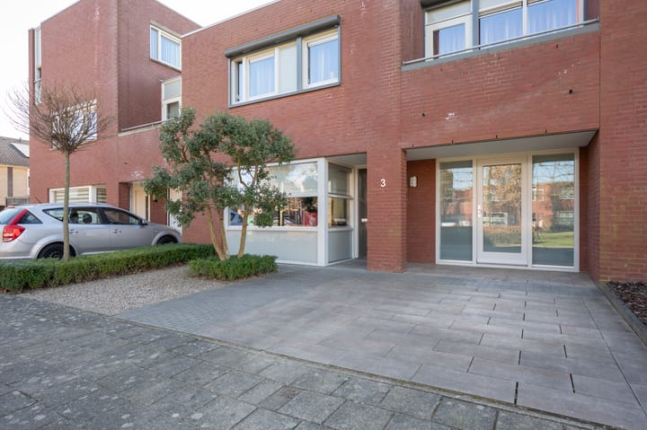 Foto 6 van Knoopkruid 3