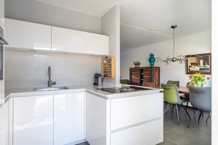 Foto 4 van Knoopkruid 3