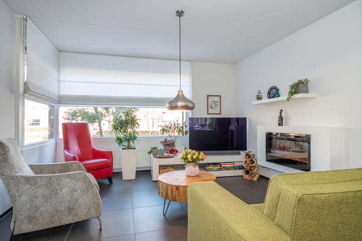 Foto 9 van Knoopkruid 3