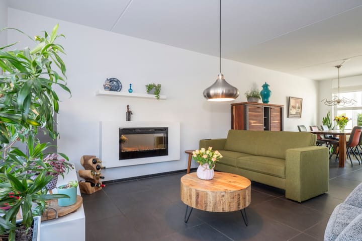 Foto 10 van Knoopkruid 3