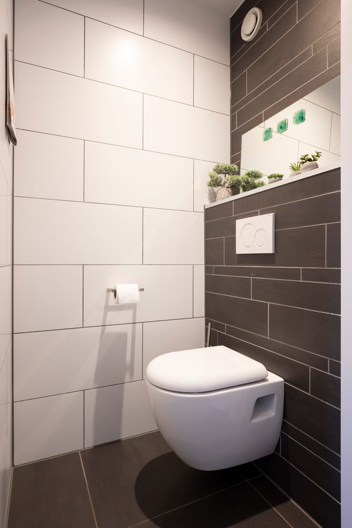 Foto 17 van Knoopkruid 3