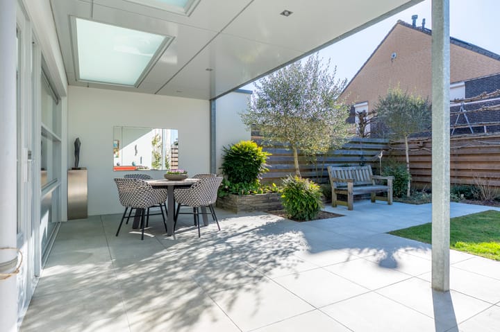 Foto 18 van Knoopkruid 3