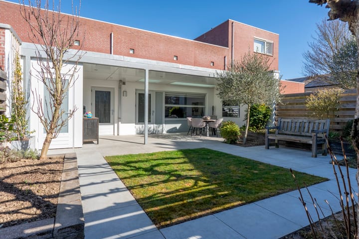 Foto 19 van Knoopkruid 3