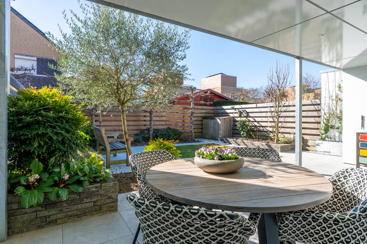 Foto 20 van Knoopkruid 3