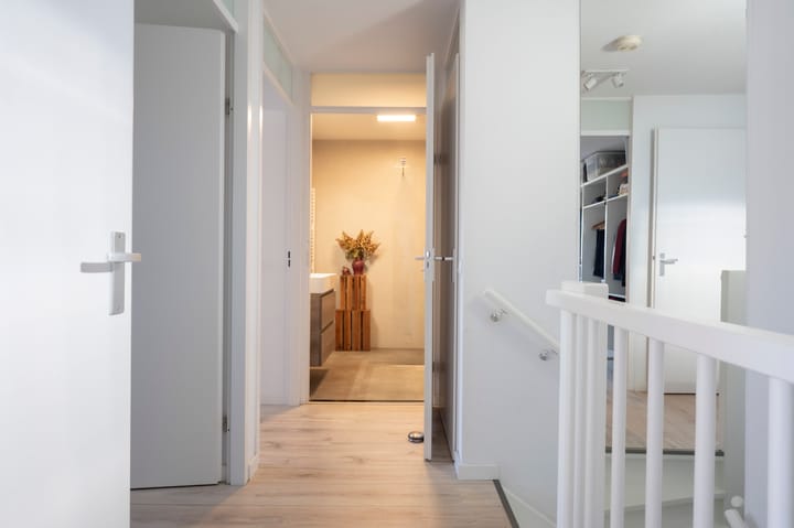 Foto 22 van Knoopkruid 3