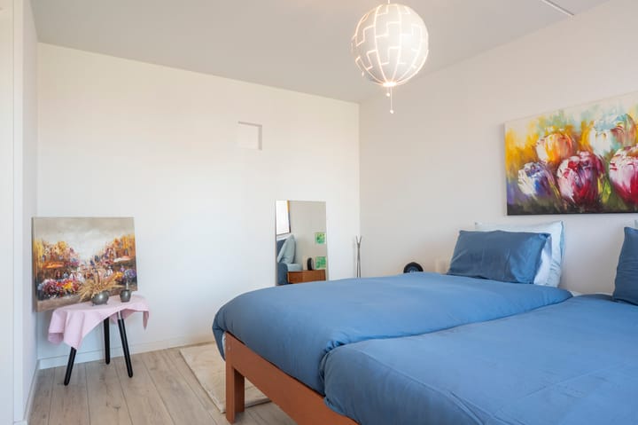 Foto 24 van Knoopkruid 3