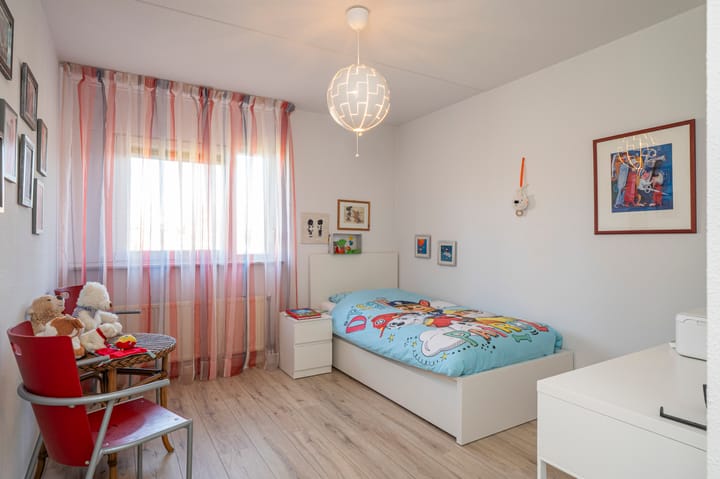 Foto 25 van Knoopkruid 3