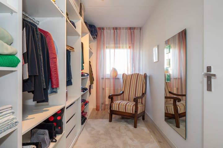 Foto 26 van Knoopkruid 3