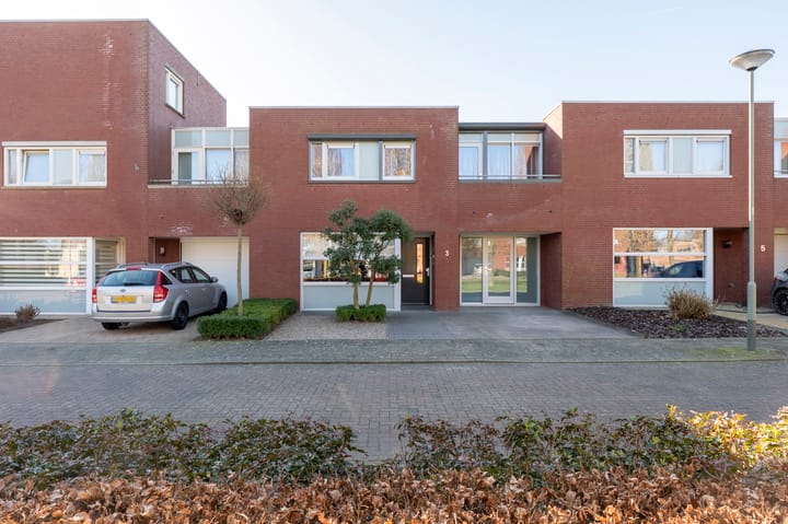 Foto 32 van Knoopkruid 3