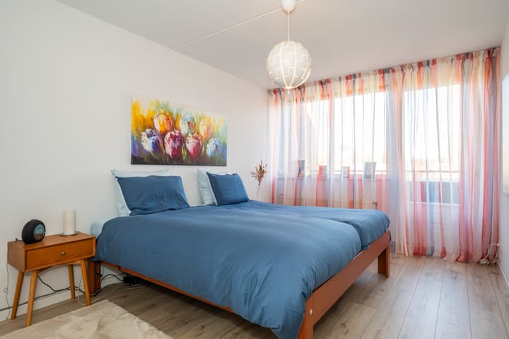 Foto 23 van Knoopkruid 3