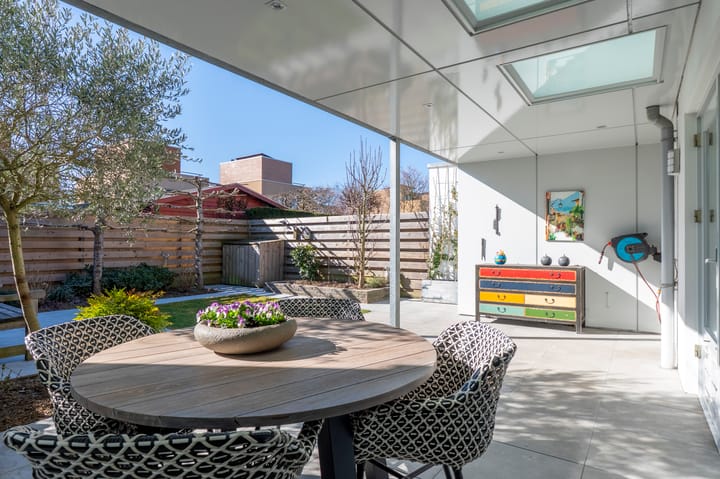 Foto 21 van Knoopkruid 3