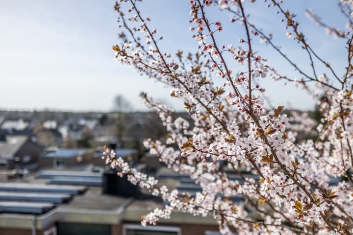 Foto 33 van Op de Graaf 40