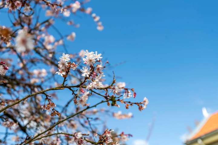 Foto 18 van Tielseweg 32