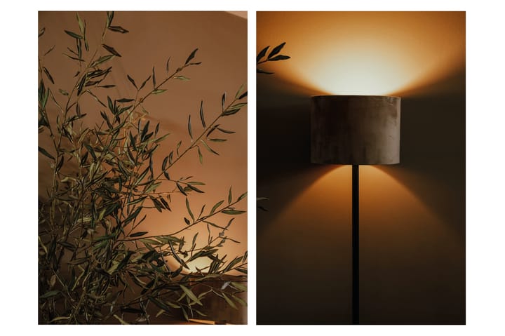 Foto 6 van Boterbloemstraat 42