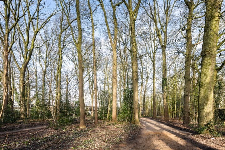 Foto 36 van Van Tydencampstraat 22