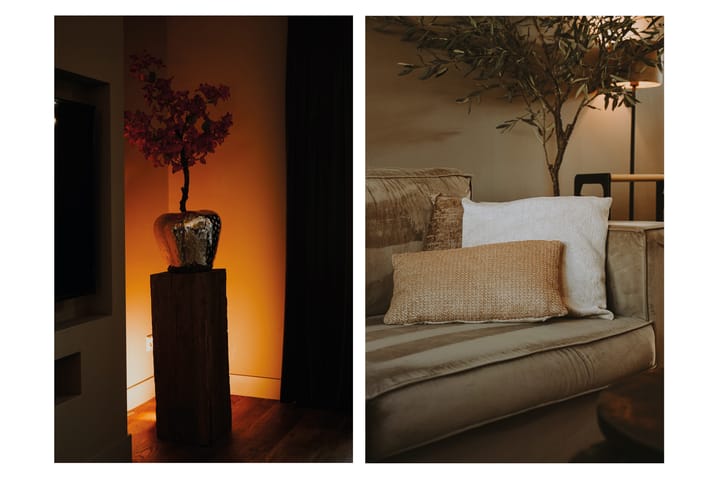 Foto 4 van Boterbloemstraat 42