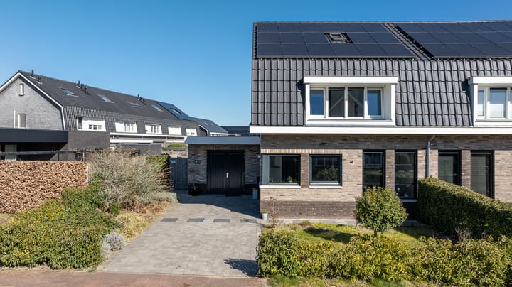 Photo 55 of Slijkakker 16