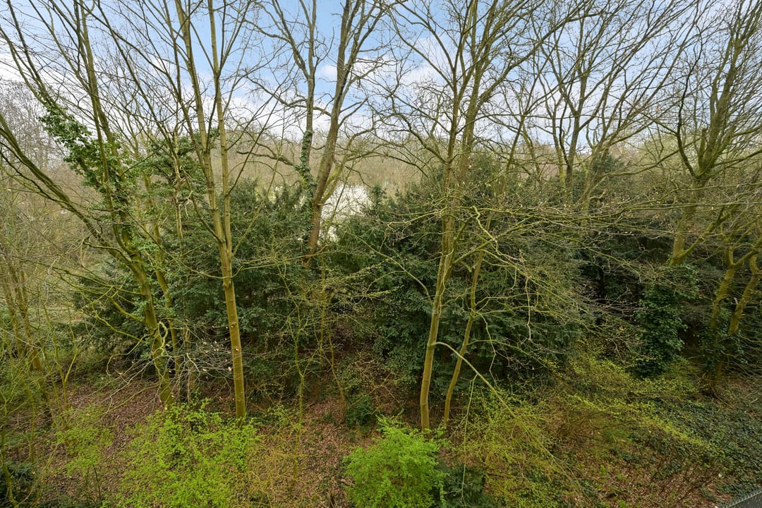 Foto 26 van Huis te Landelaan 15-F406