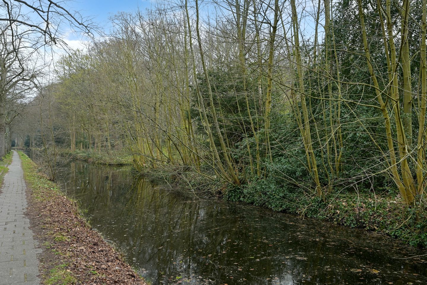 Foto 29 van Huis te Landelaan 15-F406