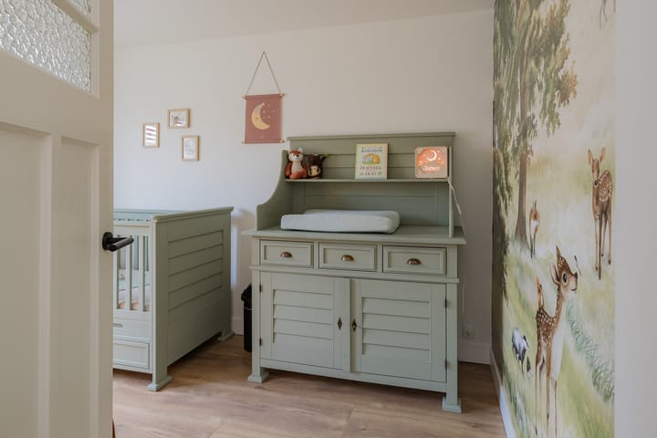 Foto 31 van Alexander Bellstraat 27