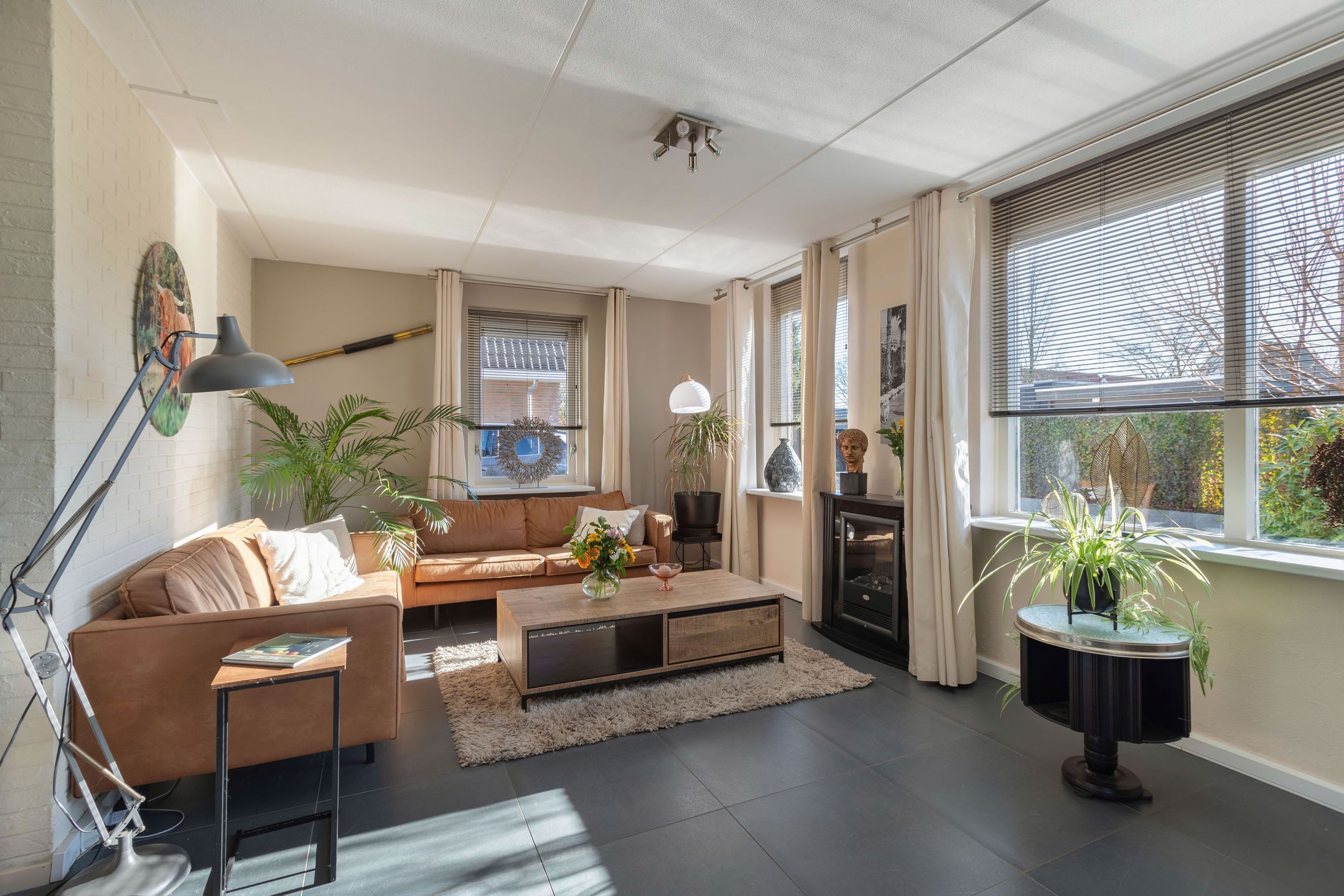 Foto 9 van Tormentil 65