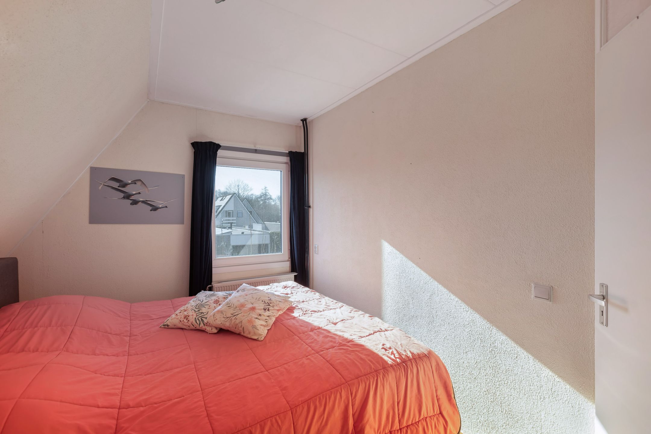 Foto 27 van Tormentil 65