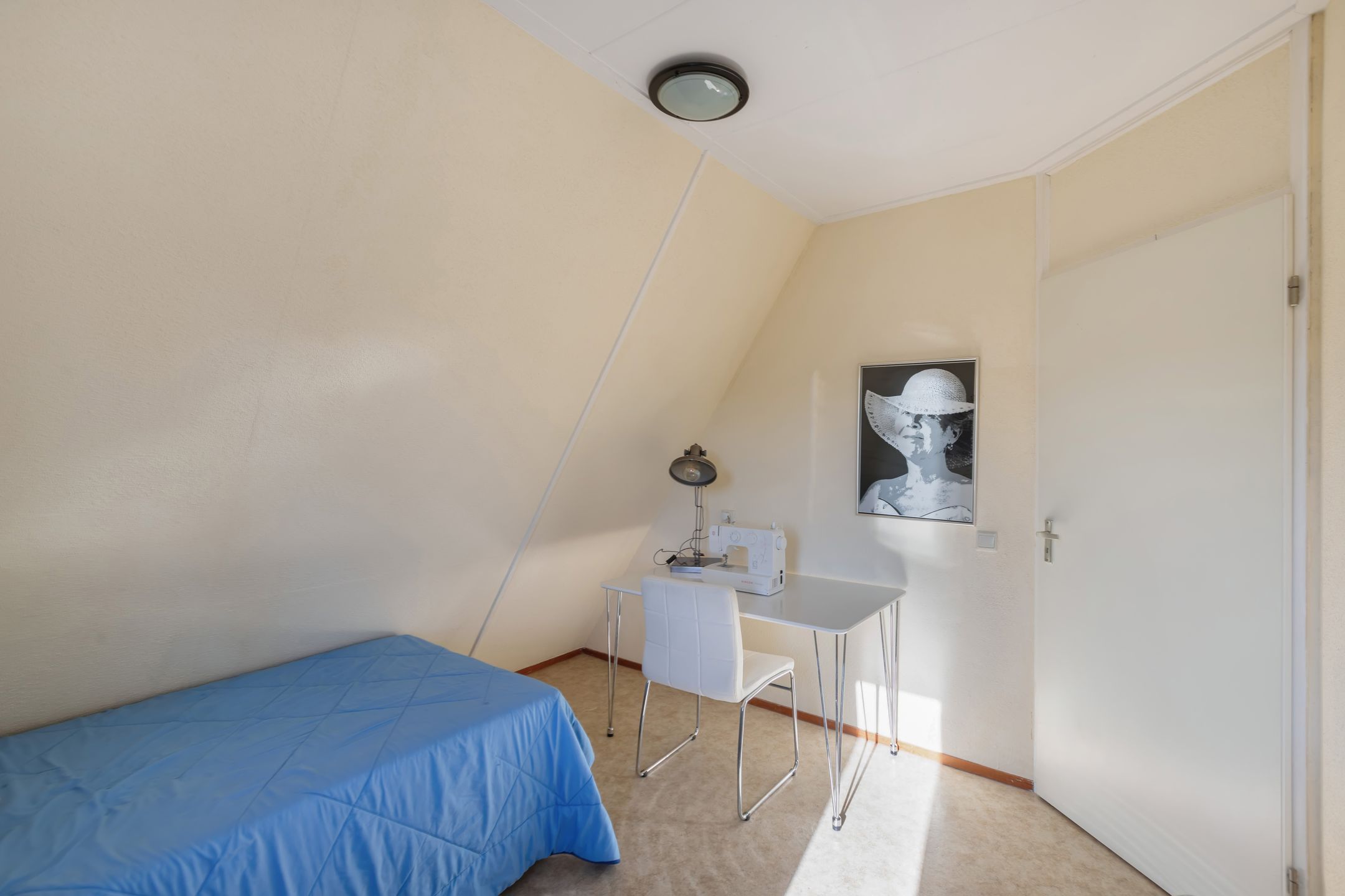 Foto 33 van Tormentil 65